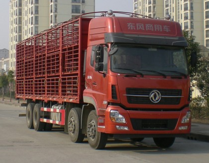 东风天龙前四后八鲜活畜禽运输车/运猪车图片